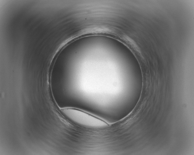 X0000076231226200609280939