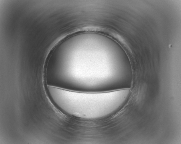X0000076231229200609280939