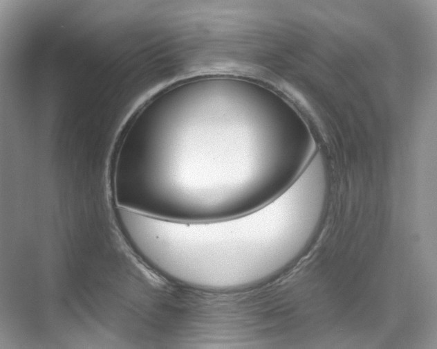 X0000076231230200609280939