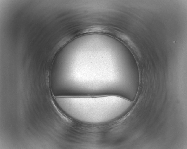 X0000076231233200609280939