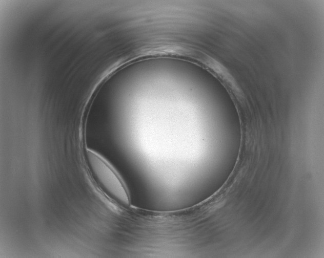 X0000076231234200609280939