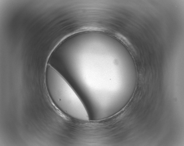 X0000076231236200609280939