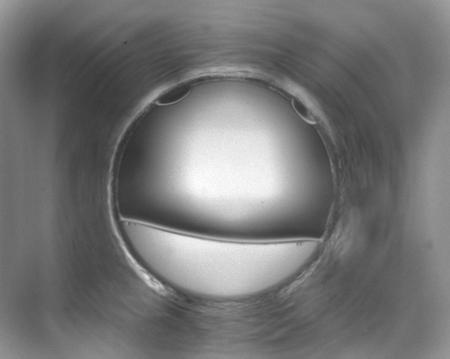 X0000076231237200609280939