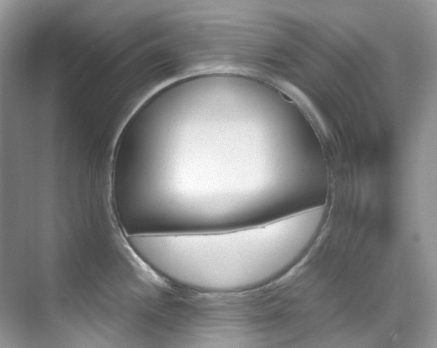 X0000076231244200609280939