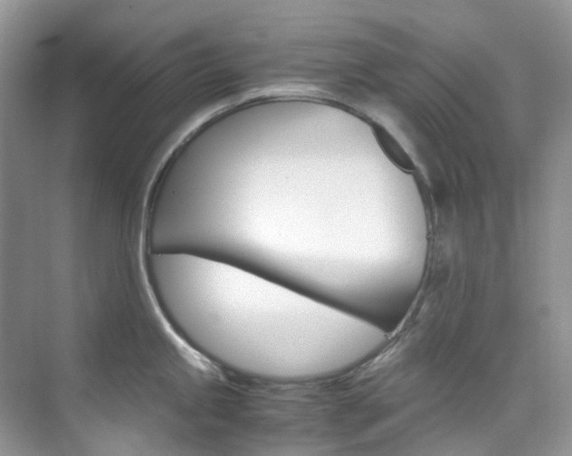 X0000076231245200609280939