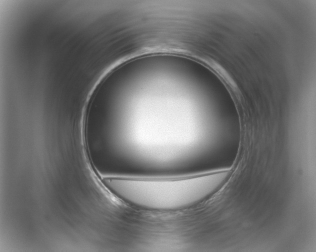 X0000076231246200609280939