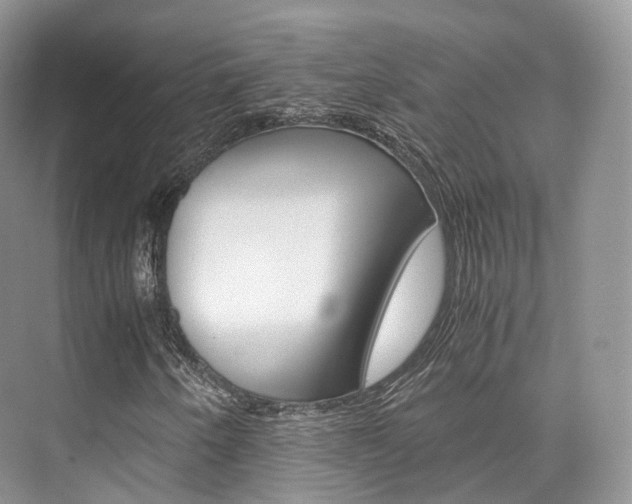 X0000076231250200609280938