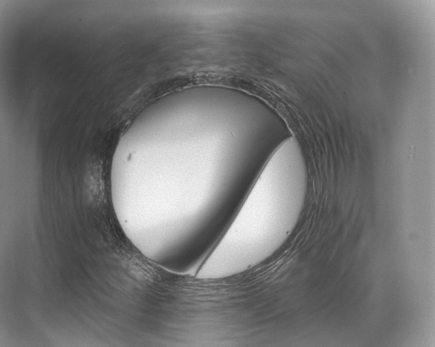 X0000076231252200609280938