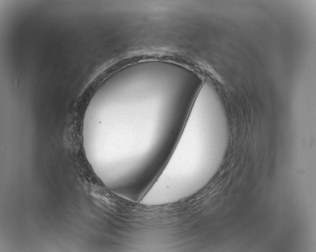 X0000076231256200609280938