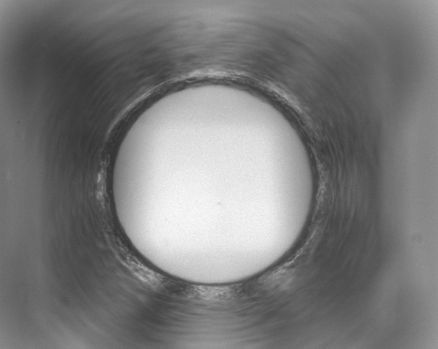 X0000076231258200609280938