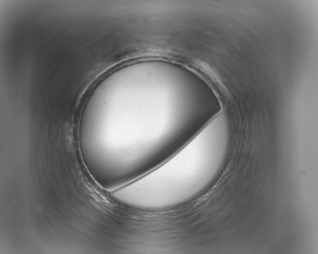 X0000076231260200609280938