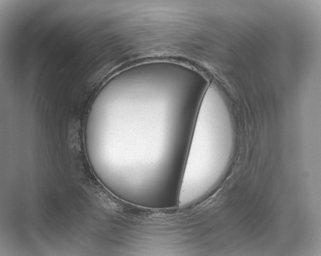 X0000076231265200609280938
