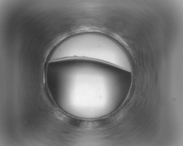 X0000076231269200609280938