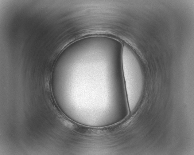 X0000076231273200609280938