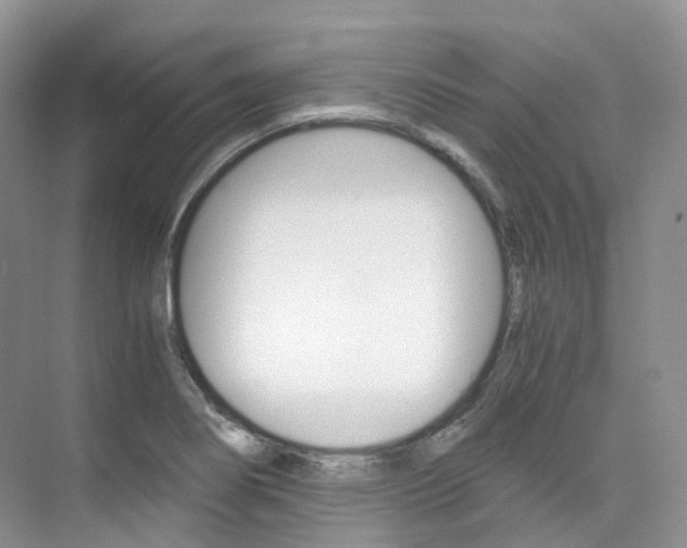 X0000076231274200609280938