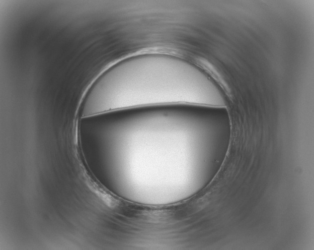 X0000076231276200609280938