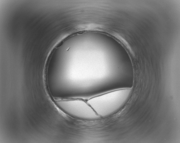 X0000076231285200609280938