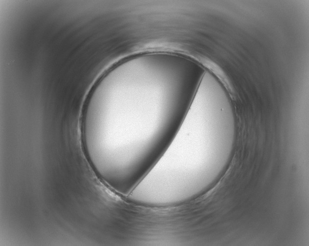 X0000076231288200609280938