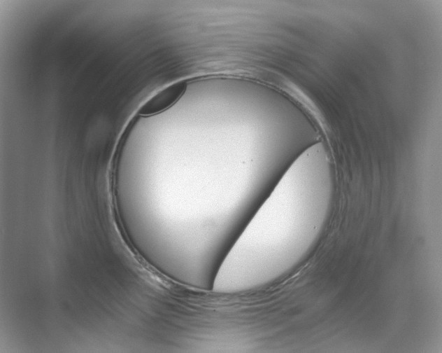 X0000076231291200609280938