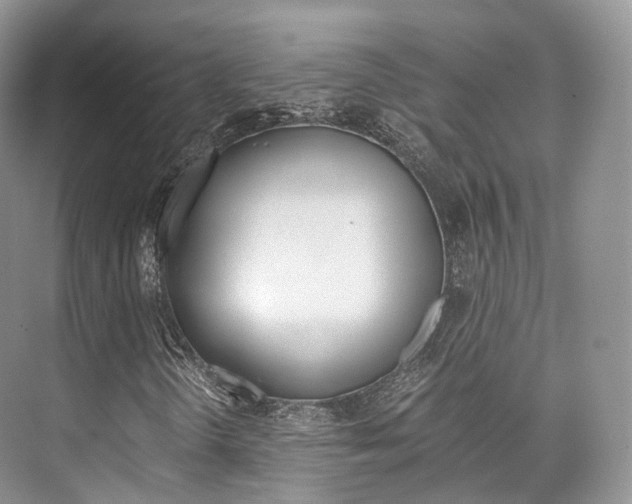 X0000076231298200609280937