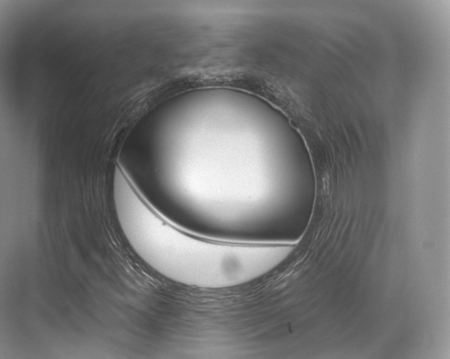 X0000076231300200609280937