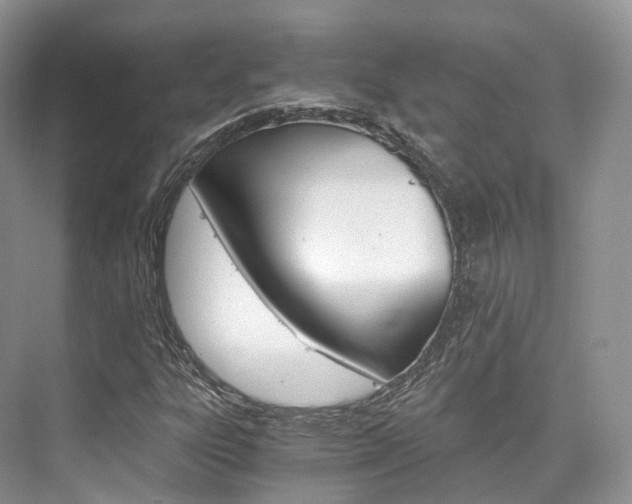 X0000076231303200609280937