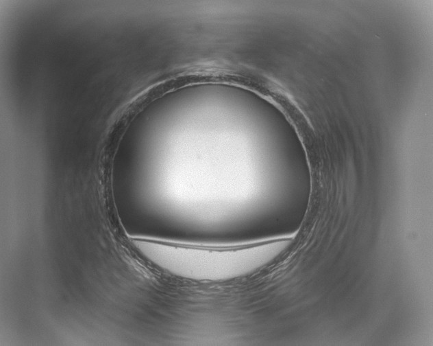 X0000076231304200609280937