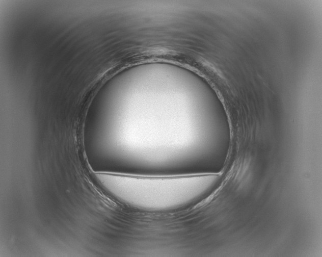 X0000076231305200609280937
