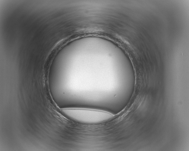 X0000076231306200609280937