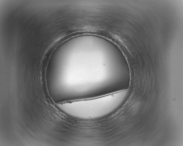 X0000076231307200609280937