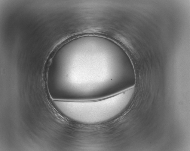 X0000076231308200609280937