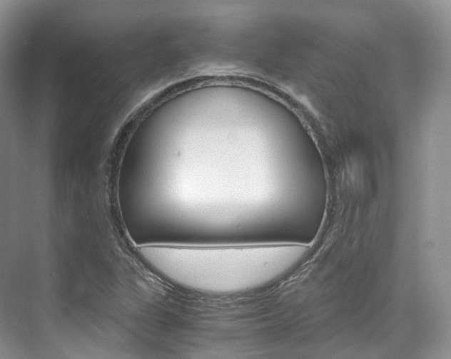 X0000076231311200609280937