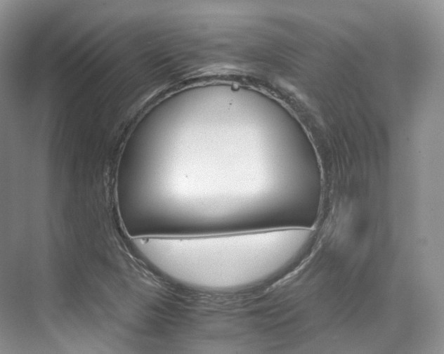 X0000076231313200609280937