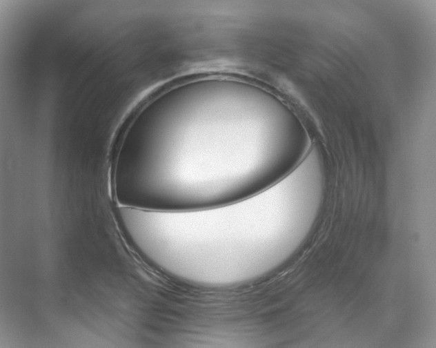 X0000076231320200609280937