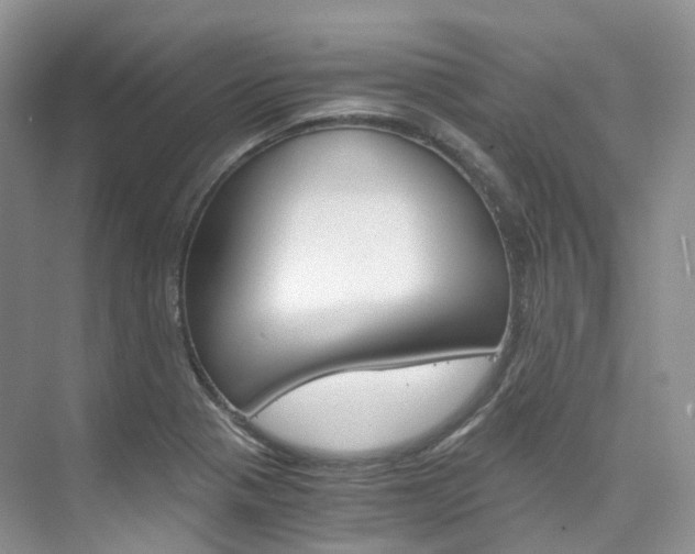X0000076231321200609280937