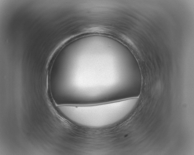 X0000076231323200609280937