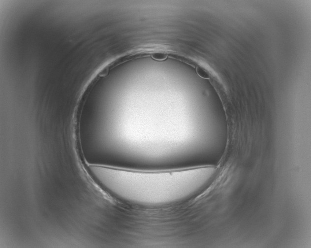 X0000076231325200609280937