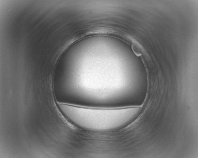X0000076231329200609280937