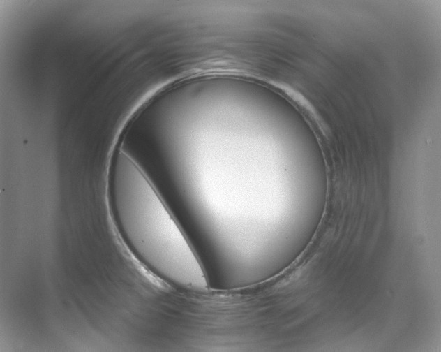 X0000076231333200609280937