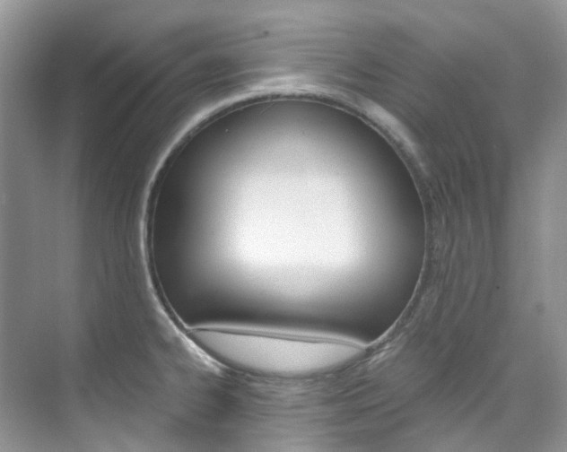 X0000076231334200609280937