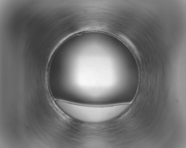 X0000076231340200609280937