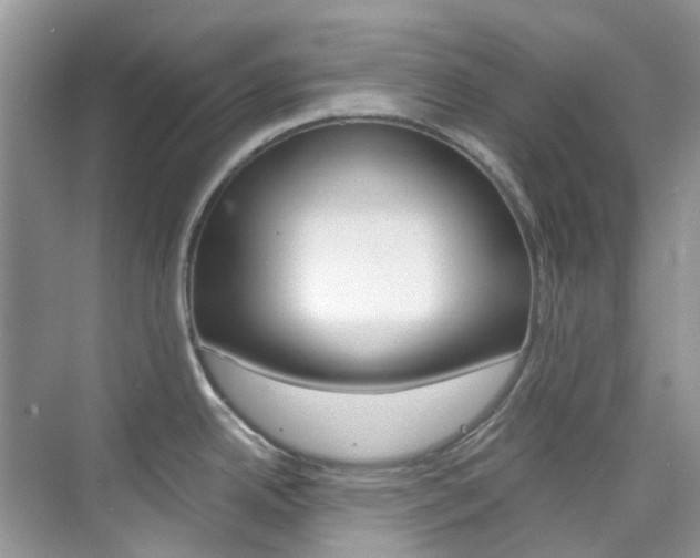 X0000076231342200609280937