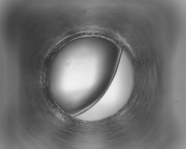 X0000076231352200609280936