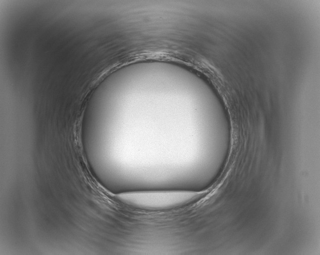 X0000076231353200609280936