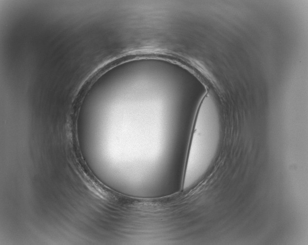 X0000076231356200609280936