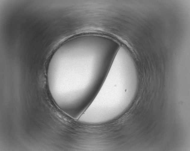 X0000076231363200609280936