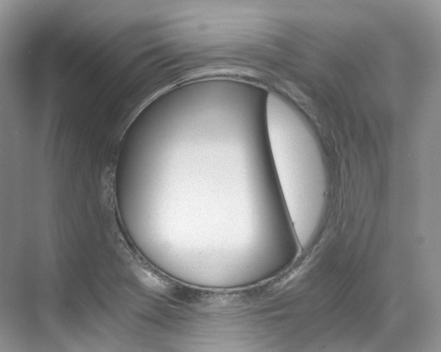 X0000076231369200609280936