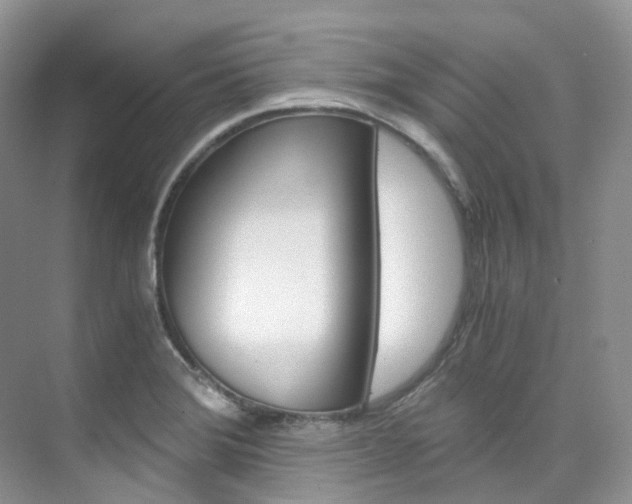 X0000076231372200609280936