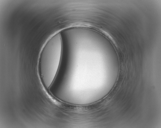 X0000076231379200609280936