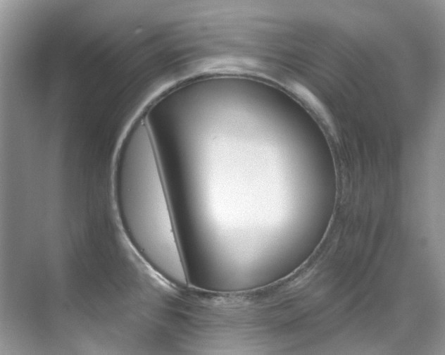X0000076231384200609280936